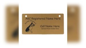 Female German Shepherd Names: Unique Ideas for Personalized Crate Tags