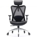 Sihoo Doro S100 Vs M18: Which Ergonomic Chair Suits You Best?