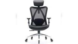 Sihoo Doro S100 Vs M18: Which Ergonomic Chair Suits You Best?