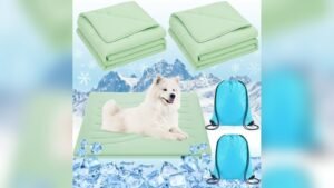 Which Sofa Material is Best for Hot Weather: Cooling Blankets for Comfort