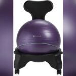Best Ball Chair for Reducing Back Strain Long Sitting Comfortably