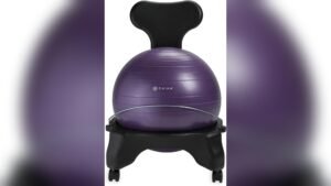 Best Ball Chair for Work: Top Ergonomic Stability Seats to Improve Posture