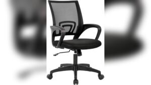 Best Bang for Your Buck Desk Chair: Top Ergonomic Picks for Comfort