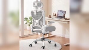 Best Chair for Shoulder And Neck Pain: Ultimate Ergonomic Office Solution