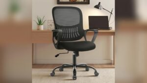 Best Chair for the Money: Ergonomic Comfort and Adjustable Support