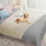 Best Chair Materials for Cleaning Spills And Muddy Paws Easily