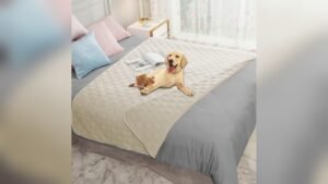 Best Chair Materials for Cleaning Spills And Muddy Paws Easily