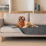 Best Chair Materials for Pet Owners Stain Resistance and Durability