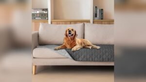 Best Chair Materials for Pet Owners Stain Resistant and Durable Covers