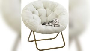 Best Comfy Chair for Dorm Room: Cozy, Stylish, and Foldable Seating Choices