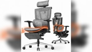 Best Desk Chair for Developers: Ergonomic Comfort for Long Coding Sessions