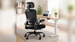 Best Ergonomic Office Chair for the Money: Comfort Meets Affordability