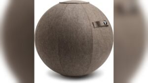 Best Exercise Ball Chair for Desk Home Office Comparison: Top Picks Reviewed