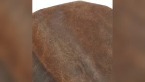 Best Leather for Chair Upholstery: Top Durable and Stylish Choices