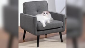Best Living Room Chair for Good Posture: Top Comfortable Picks