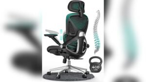 Best Office Chair for Back Support Difference Between Ergonomic Features Explained