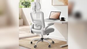 Best Type of Office Chair for Long Hours: Ultimate Comfort and Support Guide