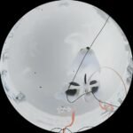 Blender Cycles Fisheye Freestyle Not Working? Fix It Fast