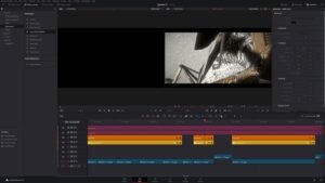 Bmd Resolve Stop Motion Not Working: Quick Fixes and Solutions