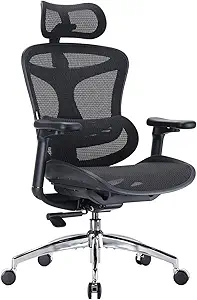 I Tested SIHOO Doro C300 Ergonomic Office: My Honest Take After Months of Use