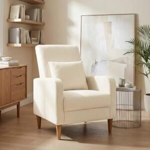 COLAMY Mid-Century Modern Chair
