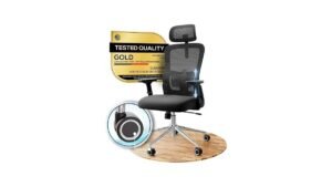 Ergonomic Office Chair