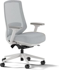 Branch Ergonomic Chair Pro