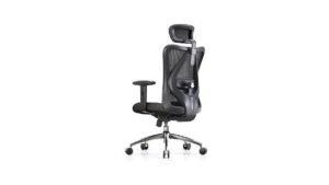 SIHOO M18 Ergonomic Chair