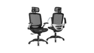 GABRYLLY Ergonomic Office Chair