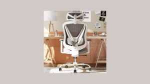 HOLLUDLE Ergonomic Mesh Chair