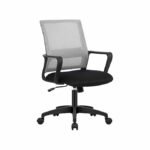 PayLessHere Ergonomic Office Chair