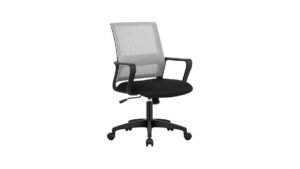 PayLessHere Ergonomic Office Chair