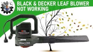 A Black and Decker leaf blower vacuum sits on a lawn for troubleshooting.