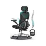 CAPOT Ergonomic Mesh Chair