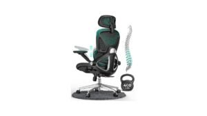 CAPOT Ergonomic Mesh Chair