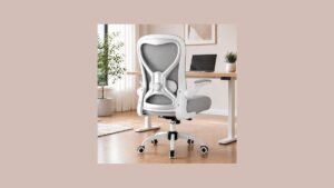Ergonomic 4-Way Lumbar Chair