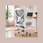 Ergonomic Home Office Chair