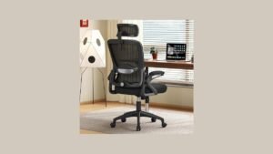 Ergonomic Mesh High Back