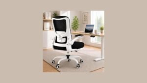 Ergonomic Office Chair 4-Way