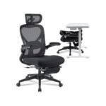 FLEXISPOT Foldex Mesh Chair