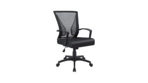 Furmax Ergonomic Mesh Chair