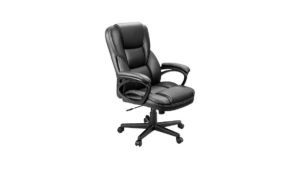 Furmax Executive Office Chair