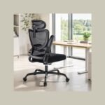 HUANUO Ergonomic Office Chair