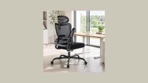 HUANUO Ergonomic Office Chair