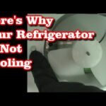 A modern Magic Chef refrigerator with a warm fridge section and cold freezer.