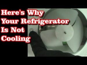 A modern Magic Chef refrigerator with a warm fridge section and cold freezer.