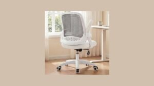 NEO CHAIR Ergonomic Mesh