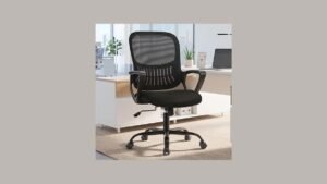 OLIXIS Mesh Desk Chair