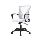PayLessHere Ergonomic Mesh Chair
