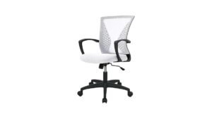 PayLessHere Ergonomic Mesh Chair